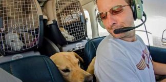 Ex-soldado compra avião para salvar cães e gatos da eutanásia