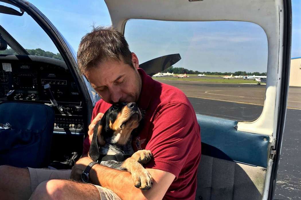 revistacarpediem.com - Ex-soldado compra avião para salvar cães e gatos da eutanásia