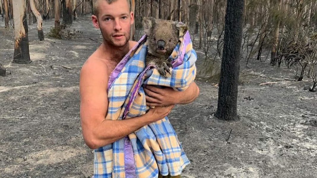 Caçador de 22 anos entra em floresta em chamas para salvar coalas dos incêndios na Austrália