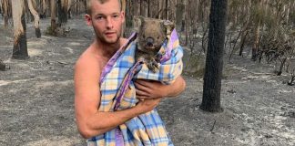 Caçador de 22 anos entra em floresta em chamas para salvar coalas dos incêndios na Austrália