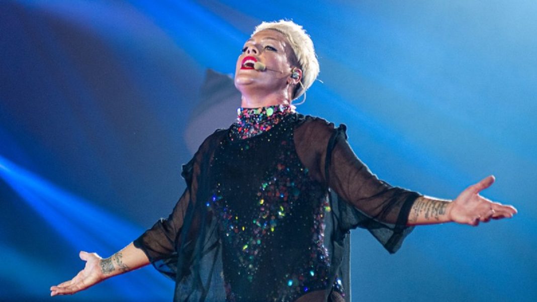 A cantora P!nk doou 500 mil dólares para ajudar nos incêndios florestais da Austrália