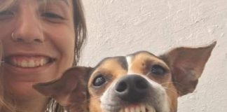 Ela cuida de uma creche para cães e convidou esse cachorrinho para uma foto e olha o sorrisão que ele abriu