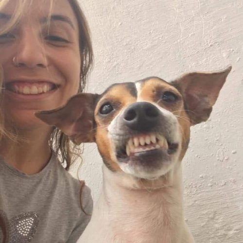 revistacarpediem.com - Ela cuida de uma creche para cães e convidou esse cachorrinho para uma foto e olha o sorrisão que ele abriu