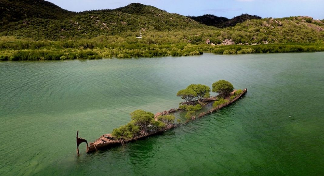 Natureza toma conta de navio que naufragou há mais de 100 anos