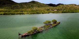 Natureza toma conta de navio que naufragou há mais de 100 anos