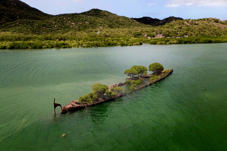 revistacarpediem.com - Natureza toma conta de navio que naufragou há mais de 100 anos