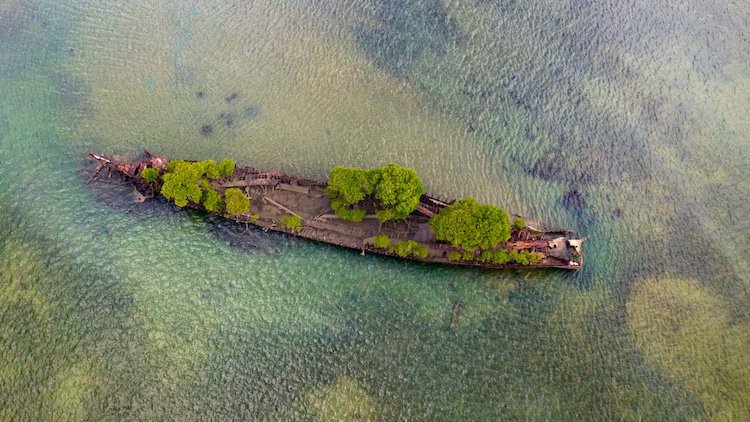 revistacarpediem.com - Natureza toma conta de navio que naufragou há mais de 100 anos