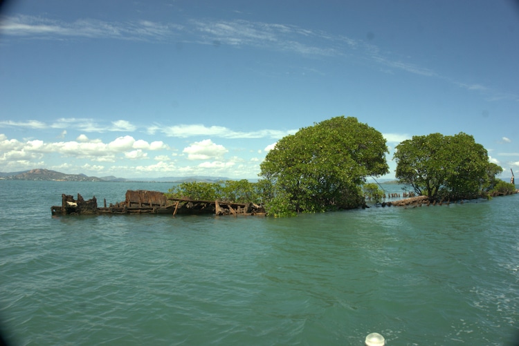 revistacarpediem.com - Natureza toma conta de navio que naufragou há mais de 100 anos