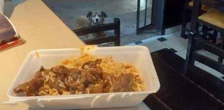 Restaurante evita desperdício dando as sobras aos cães de rua