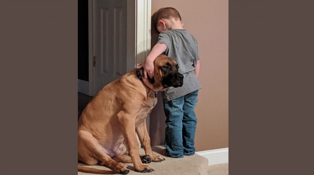 Garoto fica de castigo e cachorro o acompanha para que não fique sozinho