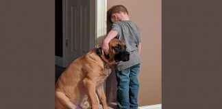 Garoto fica de castigo e cachorro o acompanha para que não fique sozinho