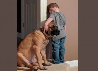 Garoto fica de castigo e cachorro o acompanha para que não fique sozinho