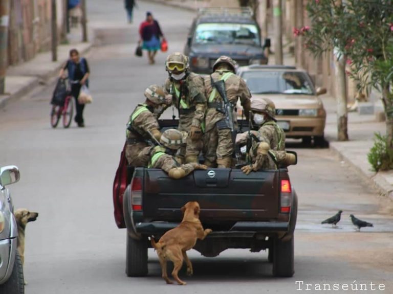 revistacarpediem.com - Cães abandonados perseguem carro de militares e acabam sendo adotados