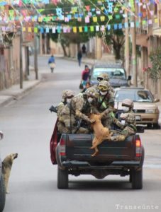 revistacarpediem.com - Cães abandonados perseguem carro de militares e acabam sendo adotados