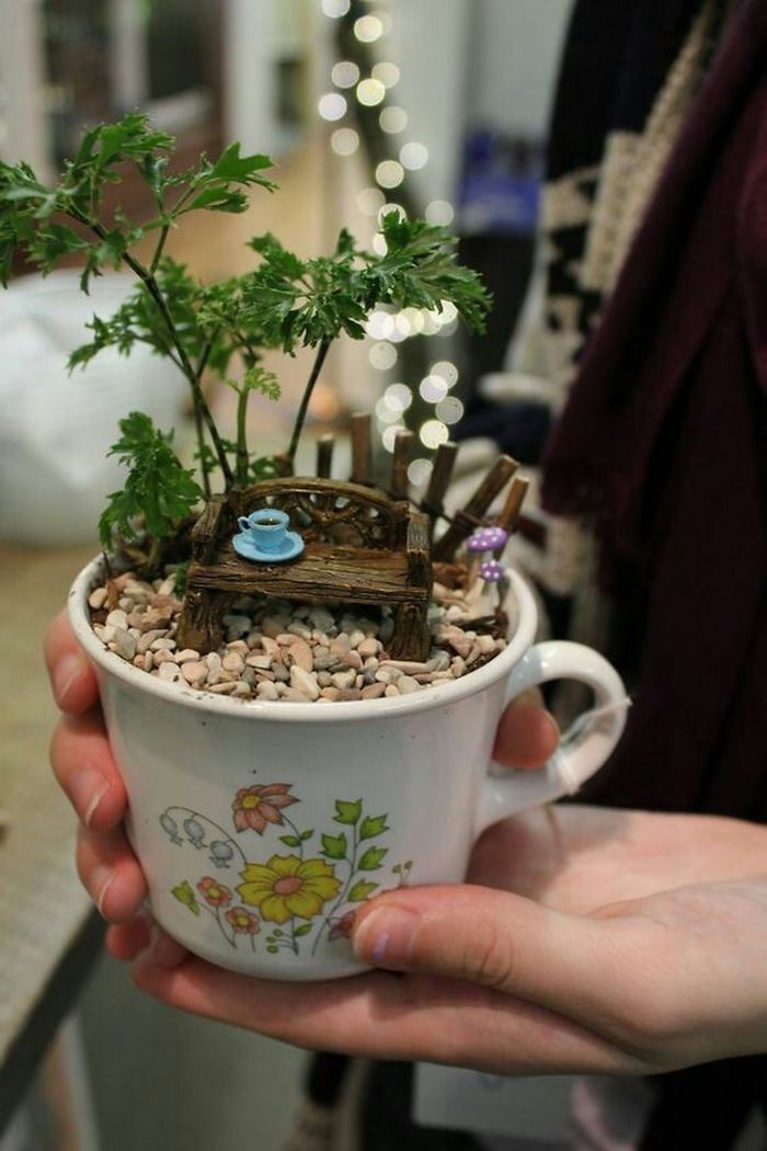 revistacarpediem.com - Teacup Gardens, são jardins em xícaras e trouxemos 10 exemplos maravilhosos para vocês admirarem