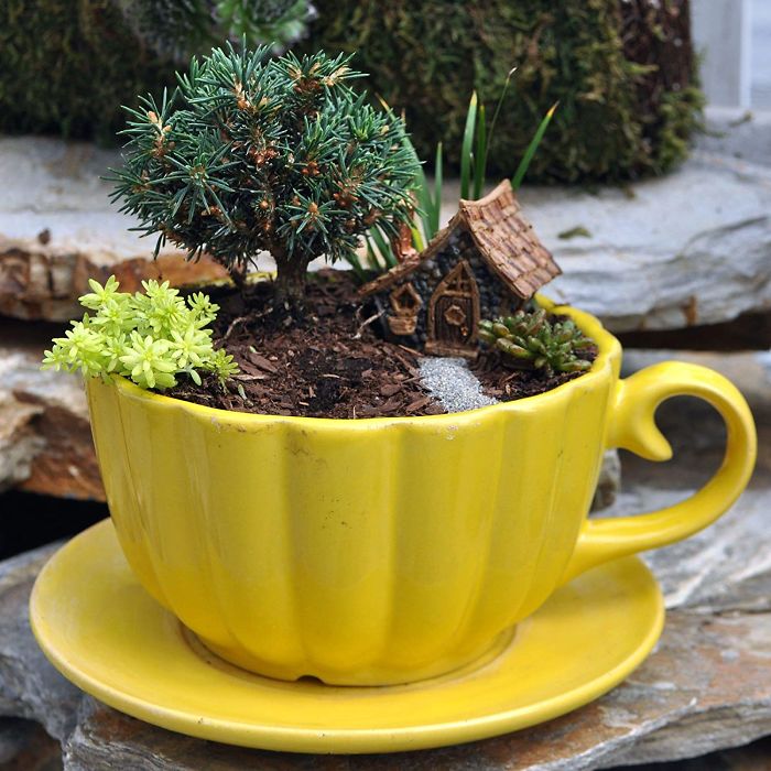 revistacarpediem.com - Teacup Gardens, são jardins em xícaras e trouxemos 10 exemplos maravilhosos para vocês admirarem