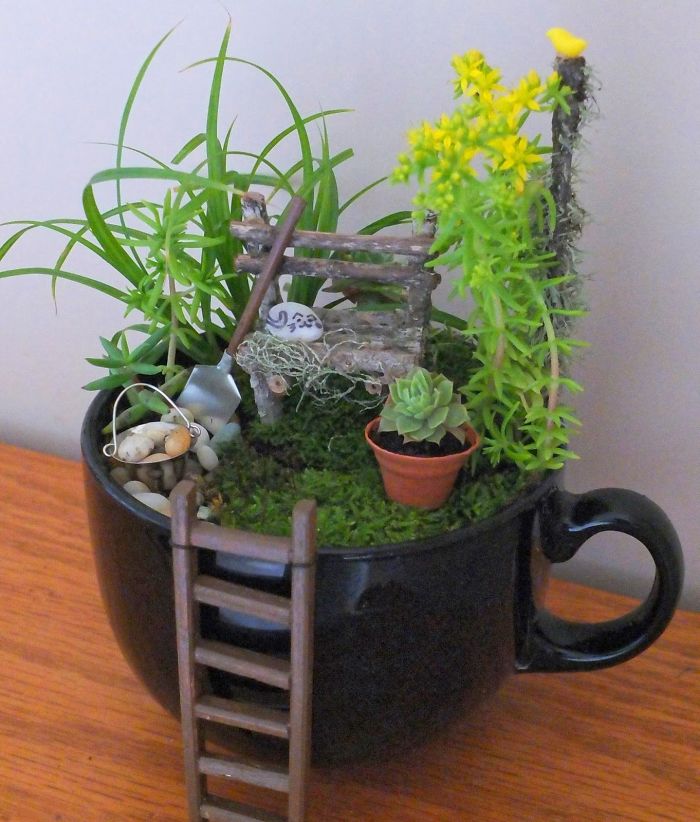 revistacarpediem.com - Teacup Gardens, são jardins em xícaras e trouxemos 10 exemplos maravilhosos para vocês admirarem