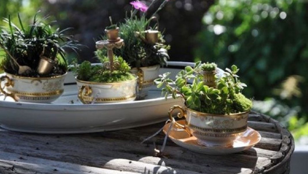 Teacup Gardens, são jardins em xícaras e trouxemos 10 exemplos maravilhosos para vocês admirarem