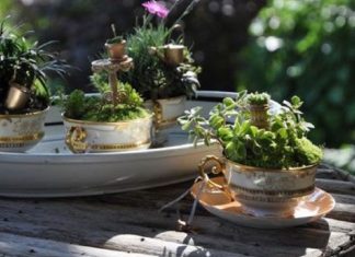 Teacup Gardens, são jardins em xícaras e trouxemos 10 exemplos maravilhosos para vocês admirarem