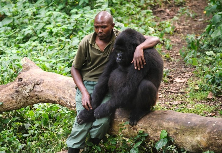 revistacarpediem.com - 10 Fotos  que mostram o quanto os animais precisam de nós assim como precisamos deles