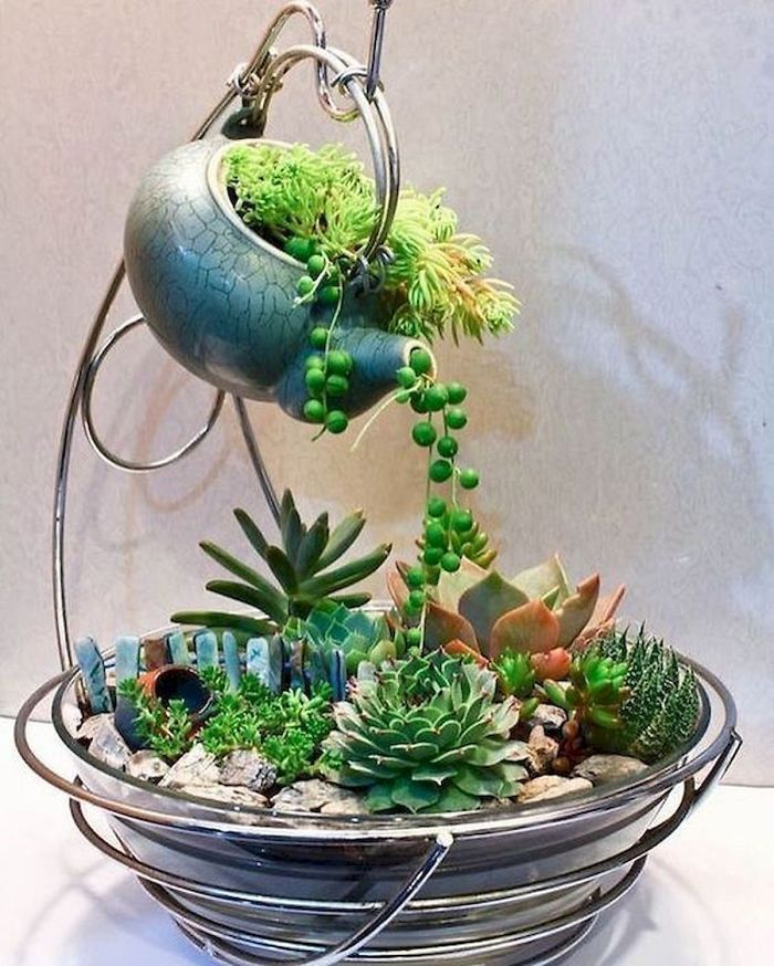 revistacarpediem.com - Teacup Gardens, são jardins em xícaras e trouxemos 10 exemplos maravilhosos para vocês admirarem