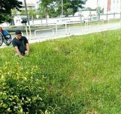 revistacarpediem.com - Cadeirante salta de sua cadeira e rasteja para salvar a vida de um gatinho