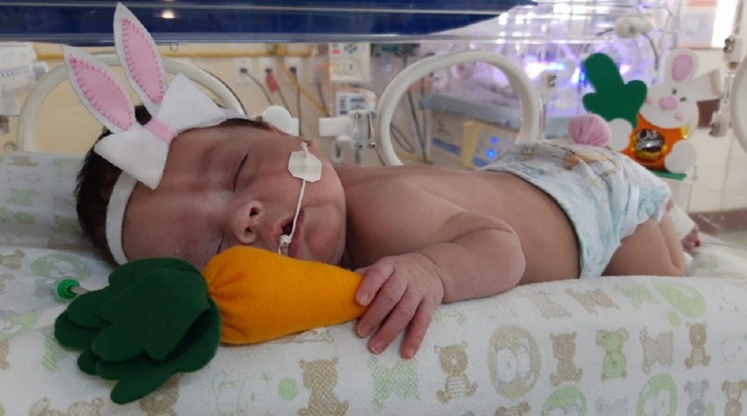 Bebês internados em UTI Neonatal ganham fantasias na Paraíba