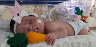 Bebês internados em UTI Neonatal ganham fantasias na Paraíba