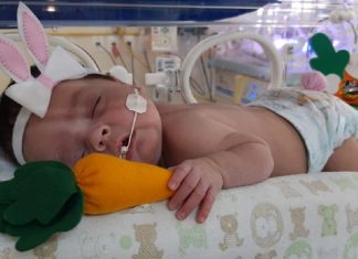 Bebês internados em UTI Neonatal ganham fantasias na Paraíba