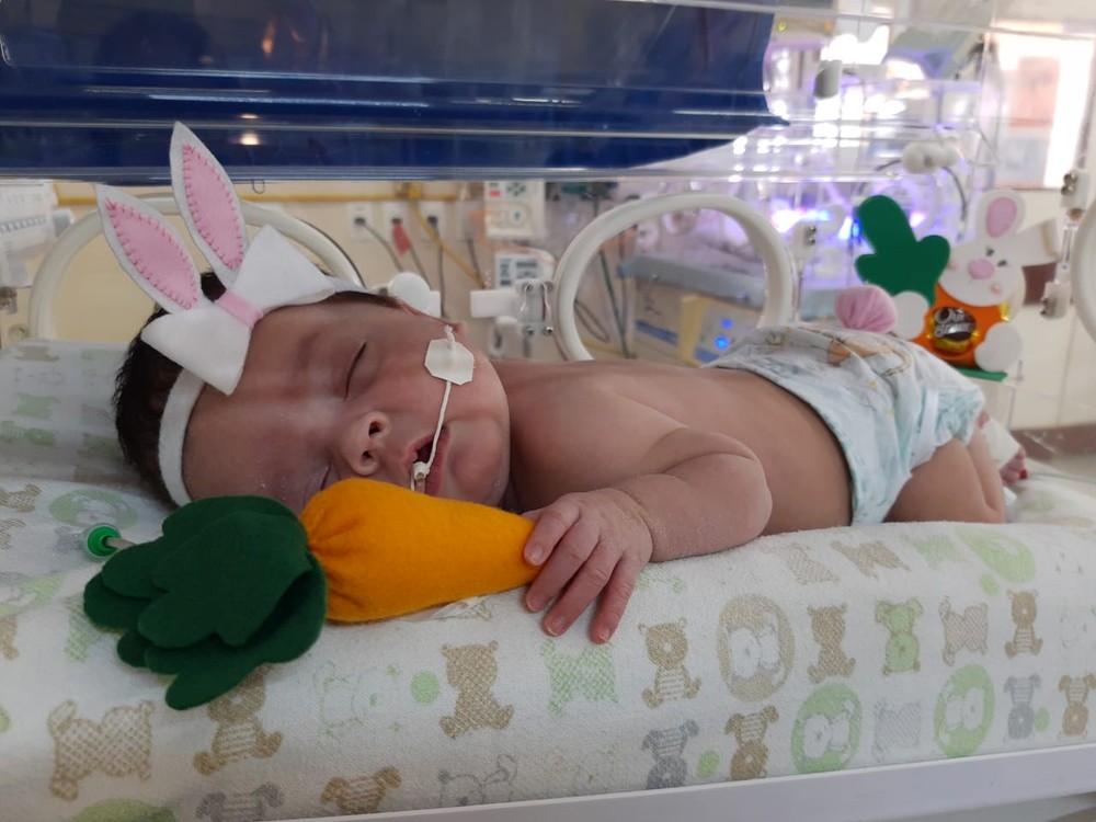 revistacarpediem.com - Bebês internados em UTI Neonatal ganham fantasias na Paraíba