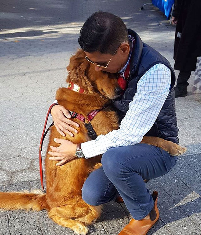 revistacarpediem.com - Este Retriever amou abraçar e está obcecado em abraços