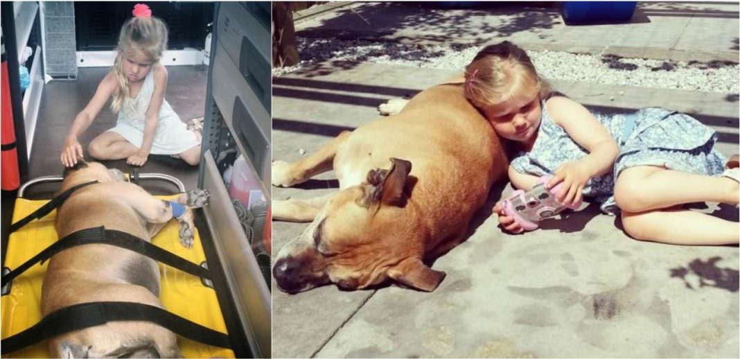 Com apenas 6 anos, menina fica com seu cão idoso até seu último suspiro