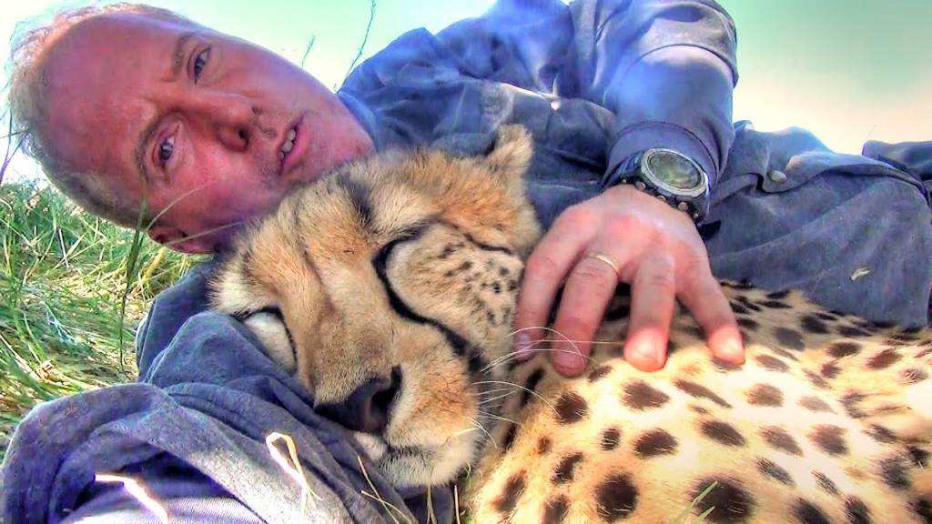 revistacarpediem.com - Cheetah encontra fotógrafo cochilando embaixo de uma árvore e se junta a ele