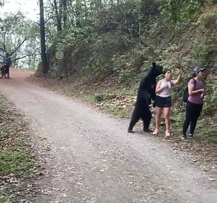 revistacarpediem.com - Urso se junta a mulheres em caminhada e posa para selfies