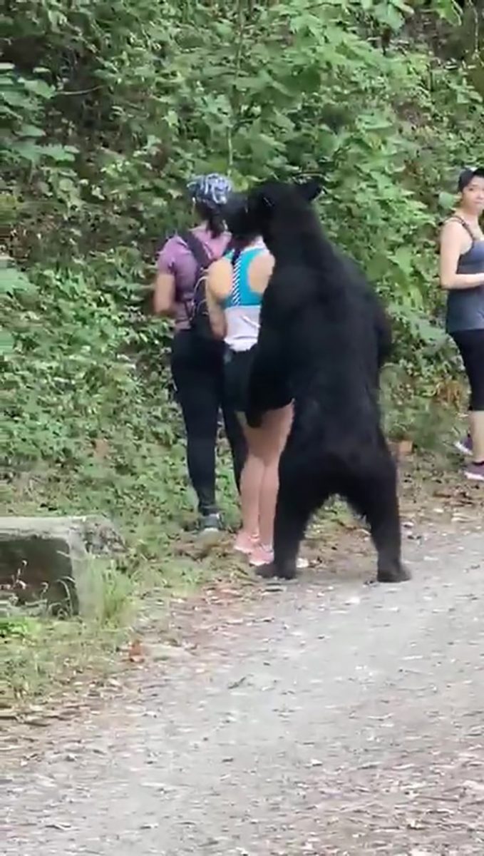 3 5f1567aeeaed8  700 scaled - Urso se junta a mulheres em caminhada e posa para selfies
