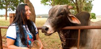 Novo membro dessa família é um boi que é apaixonado por bolacha