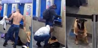 Rapaz tira camisa e veste cachorro de rua que passava frio em metrô de SP