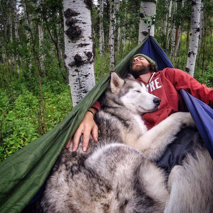 revistacarpediem.com - "Eu levo meu cão-lobo em aventuras épicas porque eu odeio ver cães presos"