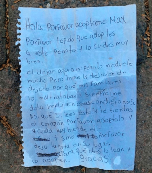 revistacarpediem.com - C&atilde;o foi encontrado em banco de um parque com bilhete de partir o cora&ccedil;&atilde;o