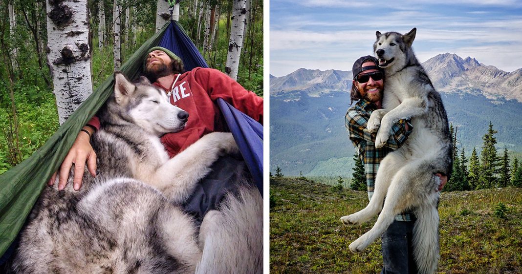 “Eu levo meu cão-lobo em aventuras épicas porque eu odeio ver cães presos”