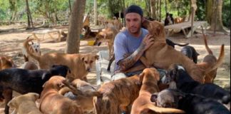 Homem abriga 300 cães em sua casa devido forte furacão no México