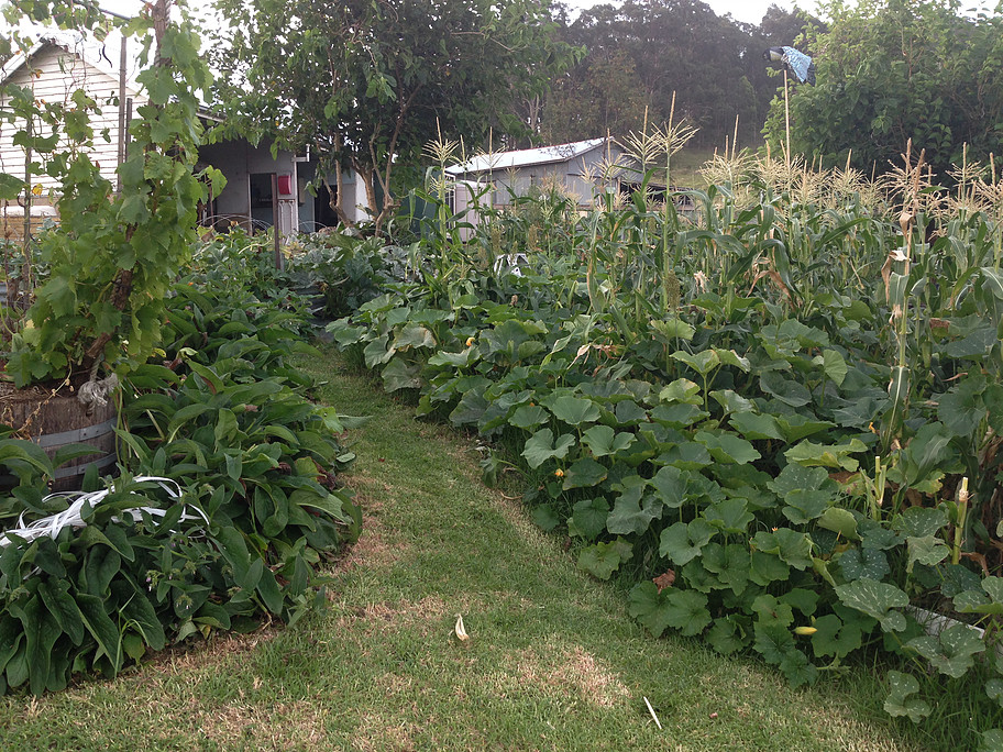 revistacarpediem.com - Australianos produzem alimentos sem agrotóxicos para até 50 famílias em apenas 4 mil m²