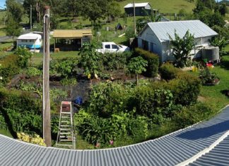 Australianos produzem alimentos sem agrotóxicos para até 50 famílias em apenas 4 mil m²