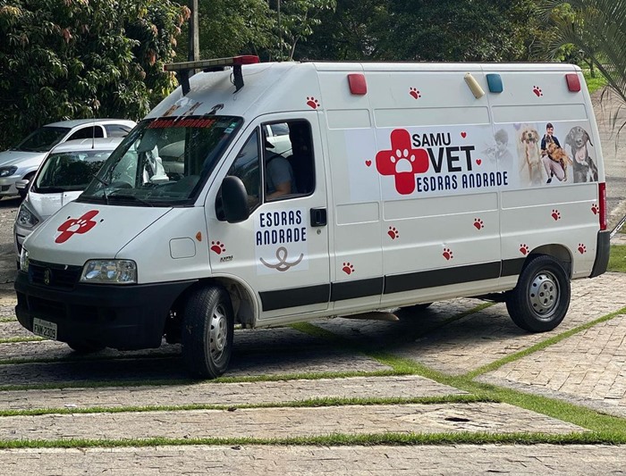 revistacarpediem.com - Van que levava 70 gatos resgatados e dois voluntários é roubada em estrada