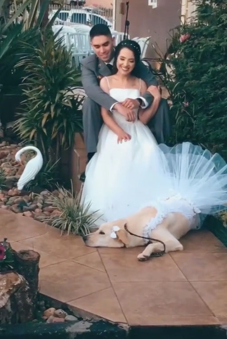 revistacarpediem.com - Esta Golden foi dama de honra no casamento de sua mãe, posando até mesmo de mãos dadas