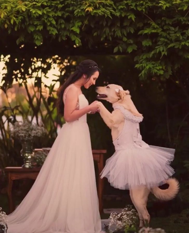 revistacarpediem.com - Esta Golden foi dama de honra no casamento de sua mãe, posando até mesmo de mãos dadas