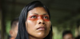 Mulher indígena ganha prêmio ambiental em defesa da floresta amazônica