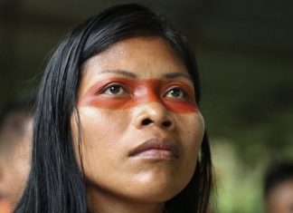 Mulher indígena ganha prêmio ambiental em defesa da floresta amazônica