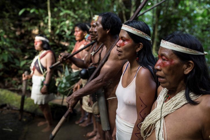 revistacarpediem.com - Mulher indígena ganha prêmio ambiental em defesa da floresta amazônica