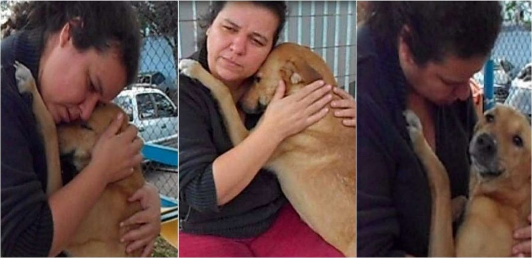 Cãozinho se emociona com aproximação carinhosa de mulher e recusa comida para abraçá-la